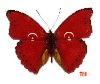 The MERE Project Charitable Trust home page